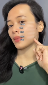 PIXY Filter free Airy Stay Two Way Cake