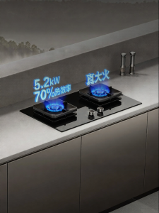 Double Burner Gas Stove
