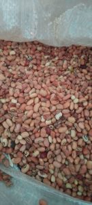 KACANG BERAS / KACANG TOLO 1 KG BAGUS DAN BERKUALITAS