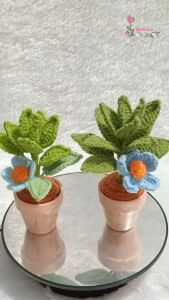 Chậu hoa len mini – Món quà xinh xắn cho ngày hè 🌿🌸
