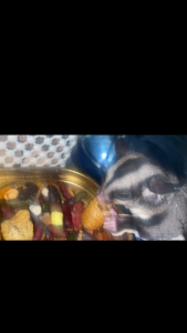 เพ็ทเฮง ดักเเด้ด้วงสาคู อบเเห้ง สำหรับ ชูการ์ไกเดอร์ เม่นเเคระ กระรอก ลิง ขนาด 45 กรัม