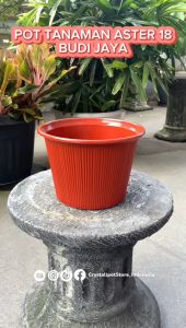 POT BUNGA TANAMAN BUDI JAYA PLASTIK ASTER 18 BAHAN TEBAL - BJP 18 ASTER