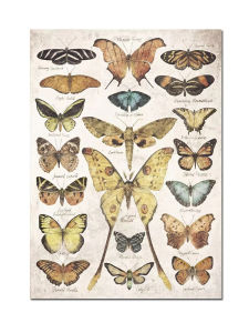 Jigsaw Puzzle 1000Pieces Retro Butterfly And Insects Scientific Poster For Adults Stress Relief Relaxing Hobby Brain Teaser Gift