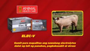 Viddavet Elec-V 24 Packs - Premium Dog & Cat Health Supplement Sachets (6g Each) - Immune & Digestive Support