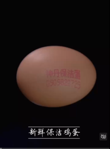 ShenDan Chinese Tea Egg 23g Fried Egg Stew Egg Quail Egg 神丹 鸟王茶叶蛋/卤蛋/虎皮蛋/鹌鹑蛋