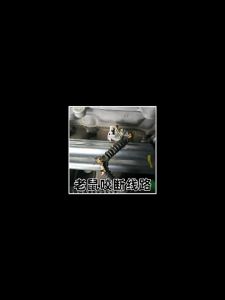 LANLIANGMAIRUICHI | Rodent Repellent for Car Engine