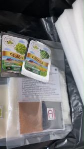 ชุด 5 แผ่นฟองน้ำปลูก ปุ๋ย 2 ลิตร เมล็ดผัก 1 ชุด - ปลูกผักไฮโดรโปนิกส์