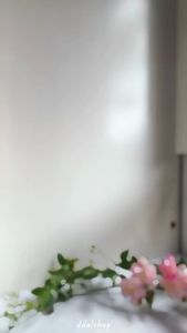 CD Boxer Celana Dalam Anak Laki Laki Bahan Katun Berkualitas