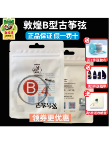 Dunhuang Ancient Zither Strings Full Set B Type 1-21 Single String Stainless Steel Light String for Musical Instrument Accessories