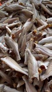 Khô Cá Đù Lớn (Size 12 - 14 con/kg)- Vị Nhạt Không Mặn- Vựa Khô Minh Triết( 1kg 200gr)