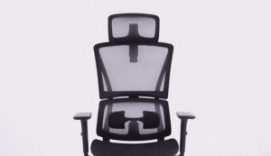 Ergoseat - QW+ Series Ergonomics Home Office Chair Computer Chair Auto Spring Lumbar Support - Include Delivery