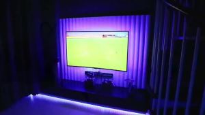 RGB LED Strip Lights 5050 Bluetooth APP IR Remote Control USB 1M 2M 3M 4M 5M 10M 15M 20M Festival Deco Backlight For Home