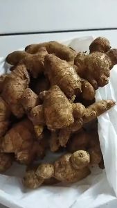 COD 1 kg Jahe Gajah Segar / 1 kg Natural Fresh Elephant Ginger