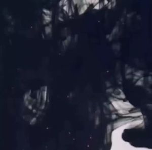 UCORP POTASSIUM HUMATE: A Comprehensive Guide for Large-Scale Farmers