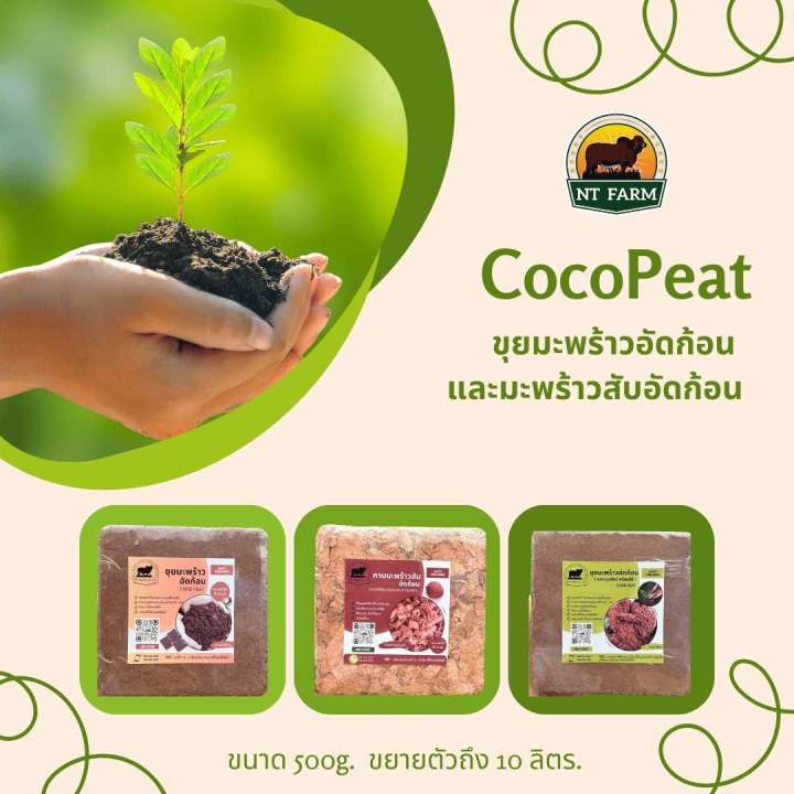 ขุยมะพร้าว กาบมะพร้าวสับ อัดก้อน 500 กรัม