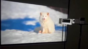 Màn Chiếu Chống Ánh Sáng LED Màn chiếu phản quang 100 inch 120 Inch độ tương phản cao chống ánh sáng Hàng chất lượng cao