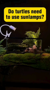 Turtle Basking Lamp UVB+UVA 3.0 | Reptile Heat Light Malaysia Plug | 乌龟晒背灯 Lampu Kura | Adjustable Clip Lamp for Penyu