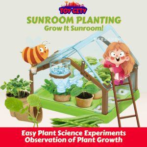 DIY Sun Planting Room Science Experiment Growth Observation Educational Toy DIY Fun Gardening Seeds Gift Toys [READY STOCK]