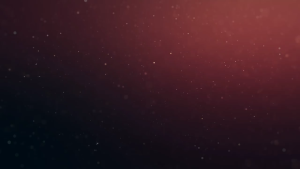 Niko Regulator Kompor Gas Meter Tekanan Rendah Otomatis - Zenchi ZLM1 / ZLM2 - FREE ONGKIR