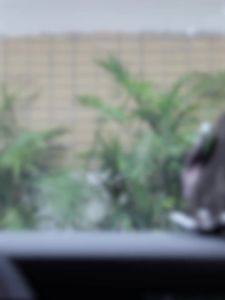 Wireless Car Charger 15W Fast Charging Mount Magnetic Automatic Tensioning Air Vent Phone Holder For All Phone