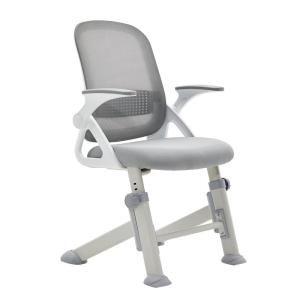 BOJOJAN | Adjustable Study Learning Chair