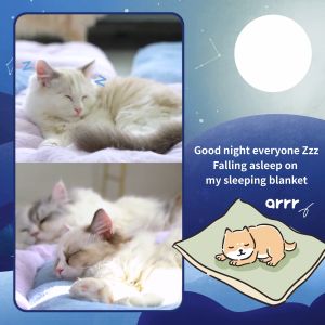 (arrr Store) Sleeping Blanket (pet bed cushion)