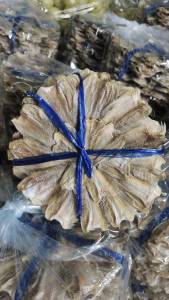 (พร้อมส่ง) ปลากระดี่ ( 1 วง )ตากแห้ง 100% ปลากระดี่วง ขนาดตัวปลามีไซร์เล็ก+ใหญ่ตามธรรมชาติ สด ใหม่ สะอาด รสชาติไม่เค็มมากทอดทานกับข้าวร้อนๆ