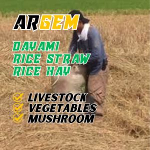 ARGEM Dayami or Rice Straw for Organic Fertilizer Garden Soil Mushroom Substrate for Compost