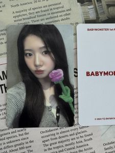 Bộ Đầy Đủ Ahyeon Ruka Rora Little Card Bao Gồm Nhiều Mặt Phẳng Để Chơi Và Trang Trí Nhà Cho Các Cô Gái