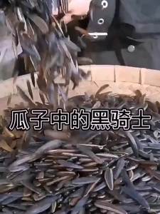 Hạt Dưa Hấu Xinjiang Nguyên Gốc Nướng Lớn Hình Thoi