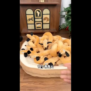 น่ารักยาวสุนัขของเล่นตุ๊กตาสนุกยาวดัชชุนสุนัขเพื่อนตุ๊กตาสามารถเสียงกัดทนสัตว์เลี้ยงของเล่นสุนัขผ่อนคลาย แร็กดอลล์