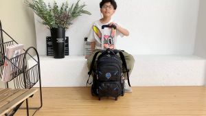 ZIRANYU Large Capacity Student Backpack 2024 New Wheeled Boys Waterproof Luggage Trolley Bag Detachable Childrens Trolley Bag Elementary School Bag
