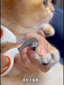 Kiềm cắt móng dành cho thỏ bọ chó mèo con - T3 PETS SHOP