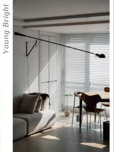 Nordic Industrial Long Arm Wall Light