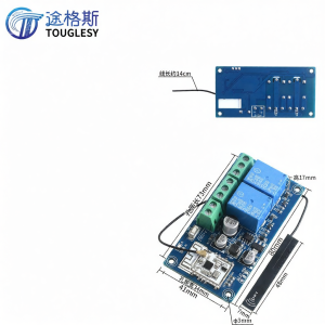 TOUGLESY | WiFi Remote Bluetooth Dual-Mode APP Control Relay Module 12V/24V