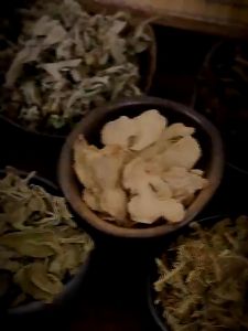 100PCS Herbal Ginger Patch Pain Relief Original Promote Blood Circulation And Knee Neck Back Pain