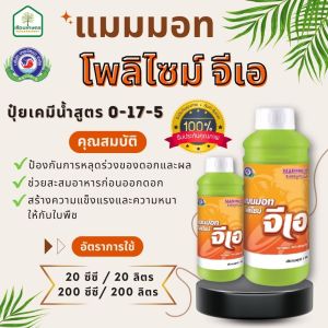 แมมมอท โพลิไซม์ จีเอ สูตร 0-17-5 ป้องกันการหลุดร่วงของดอกและผล ของแท้ 100% ขนาด 1 ลิตร