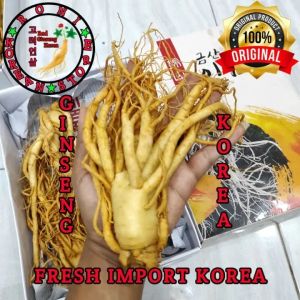 Herbal ginseng korea/Red Ginseng asli original Import [ READY STOCK ]