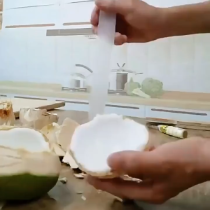 Manu facturer Portable and Practical Coconut Opener Plastic Hole Opener Reusable Tool
