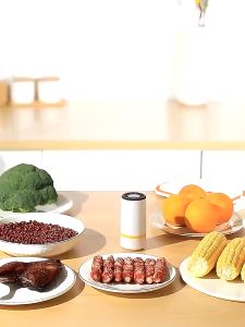 Pompa Vacuum Makanan Elektrik Sealer Food Pump Oslo Company