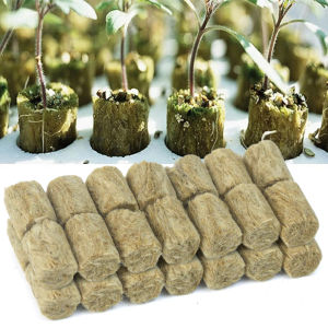 【On Sale】50Pcs เรือนเพาะชำฝาโดมการขยายพันธุ์ต้นกล้าถาดพืชกล่องปลูก