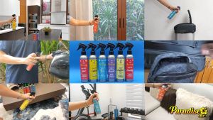 Paradise Air Freshener ANYWHERE Spray: A Home Office Solution