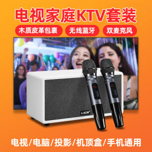 Leji W66 Family KTV Suit Wireless Microphone Speaker Conference Karaoke Microphone TV Karaoke Home Audio