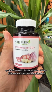 Puree herb garlic capsule กระเทียมแคปซูล ภูรีเฮิร์บ กระเทียม แคปซูล puree gralic b ภูรี เฮิร์บ 1 ขวด 60 แคปซูล ดูแลหัวใจ ความดัน ไขมัน