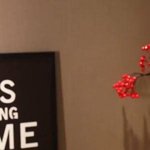 Lena Bear ของเล่นตุ๊กตา ตุ๊กตาหมีลีน่า ตุ๊กตาหมีแปลงร่างน่ารัก หมวกถอดได้ ของขวัญวันเกิด ของเล่นสําหรับเด็ก 25 ซม