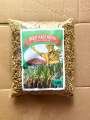 Bibit PADI Huma beras merah 5kg. 