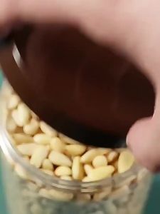 Premium Large Size Northeast Pine Nut Kernels