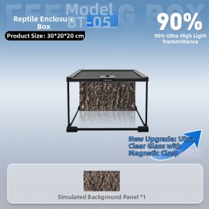 Tailwise | Rainforest Eco Scenery Glass Terrarium for Spiders Scorpions Insects