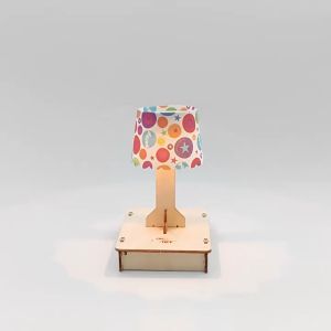 DIY Handmade Science STEM Kit: Build Touch Switch Desk Lamp: Educational Science Toys: STEM Kids Toys