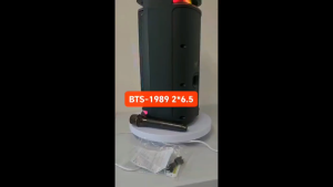 BTS-1989 outdoor Karaoke sound system Bluetooth Speakers with Rechargeable wireless mic